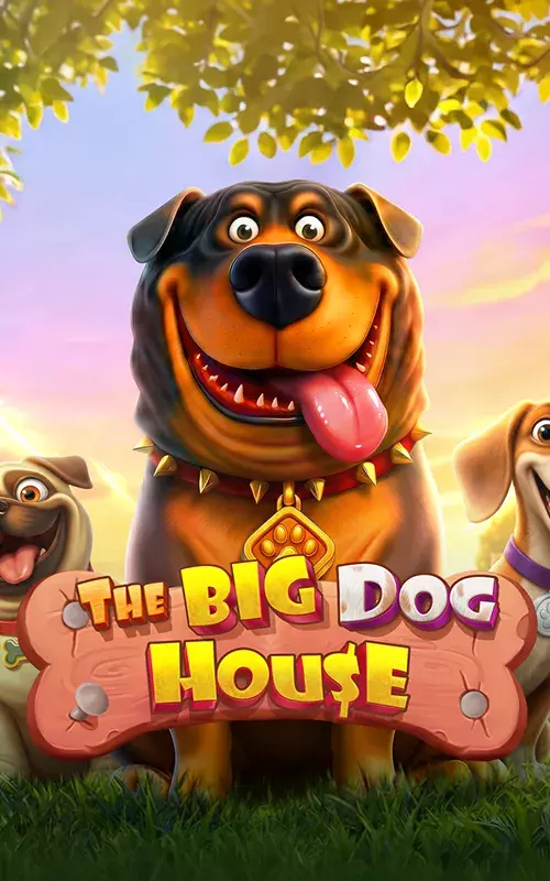 Aurora Rush